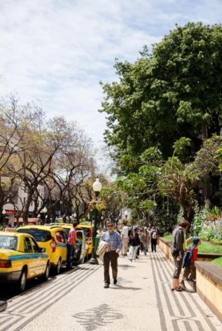 Central Funchal Apartment - Garden - Free Parking & Ac Extérieur photo