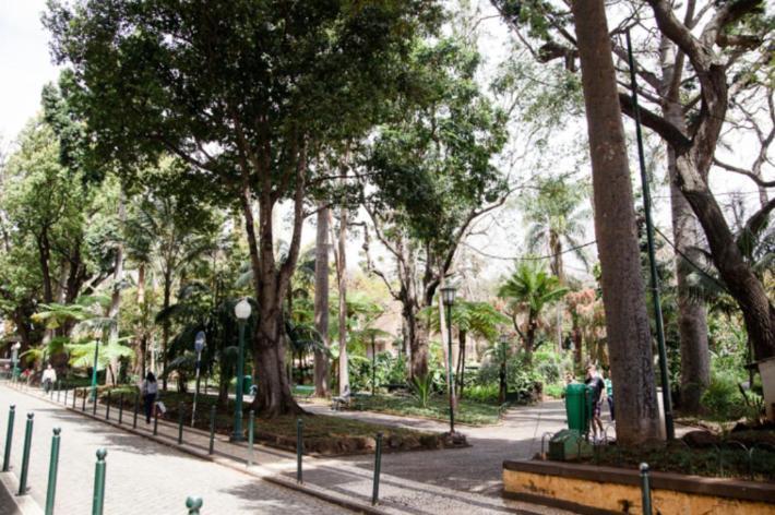 Central Funchal Apartment - Garden - Free Parking & Ac Extérieur photo